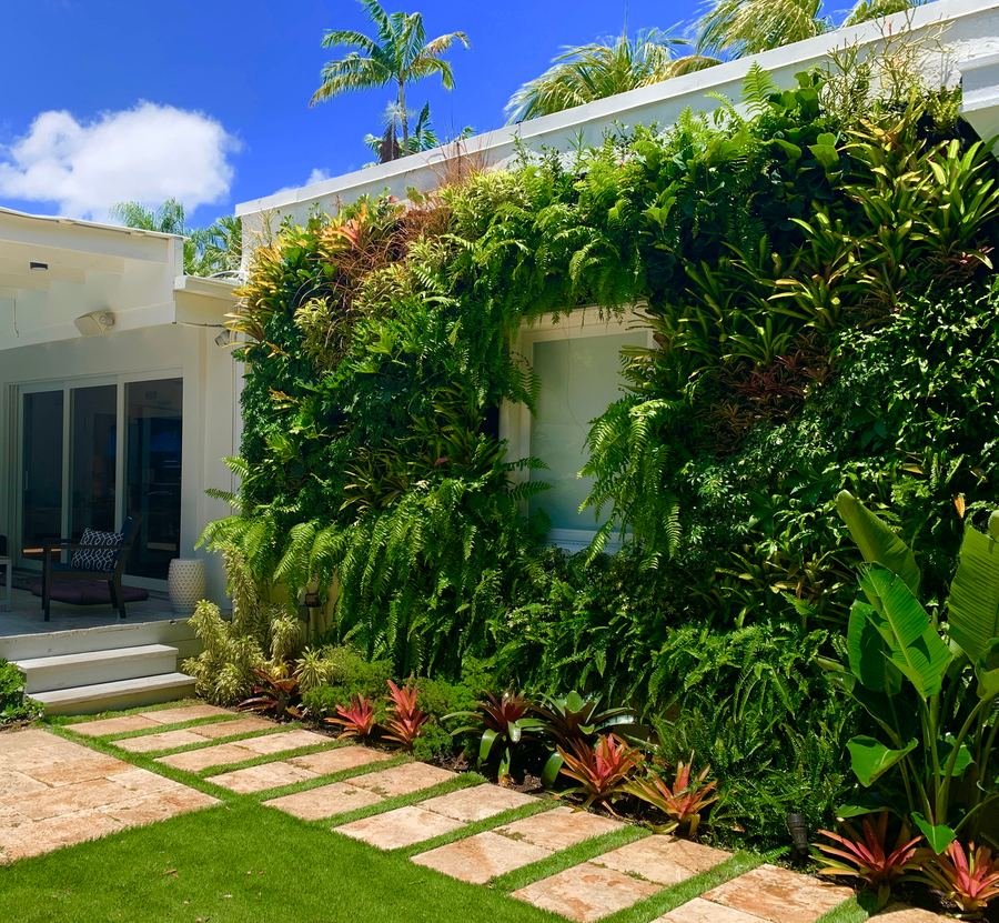 Residential living green wall with lush tropical foliage