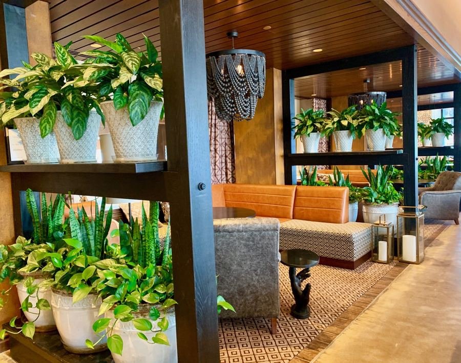 Potted-plant partitions defining an interior dining space