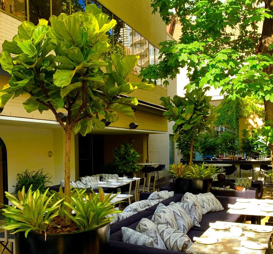 Residential garden courtyard with layered tropical plantings