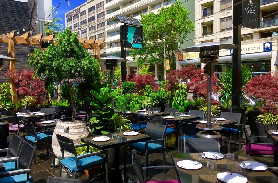 Rooftop restaurant with vibrant plantings and city views